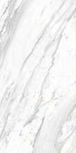 Calacatta Belgia 60x120x5.5