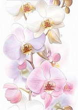 Настенный декор (вставка) Cersanit Tropicana Orchids 25x35