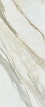 Cosmopolitan Calacatta Gold Cp 02 Luc Sq 120x278x6