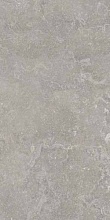 Керамогранит Ariana Ceramica Memento Bruge.Grey Ant R 60x120