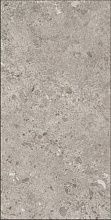 Bierzo Gris Seda 60x120