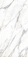 Apollo Carrara Glossy 60x120