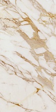 Calacatta Gold Pol. Rect 60x120