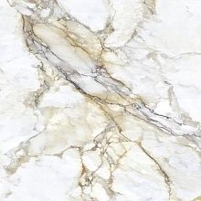 Calacatta Royal Polished 120x120