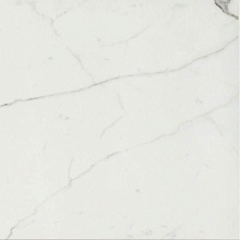 Керамогранит Cerim Timeless Calacatta Luc Ret 60x60