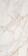 Roma Stone Calacatta Oro Matt 80x160