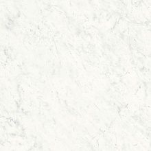 Керамогранит XLight Xlight Premium Carrara White Polished 120x120