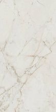 Керамогранит FAP Ceramiche Roma Gold Calacatta Delicato Brill 60x120