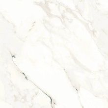 Carrara White Glossy 60x60