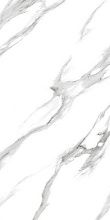 Marble Arabescato White Glossy 60x120