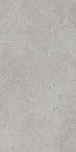 Flax Grey 60x120