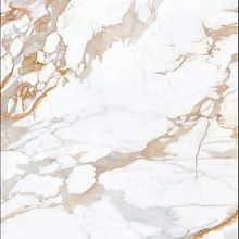 Calacatta Gold Polished 120x120